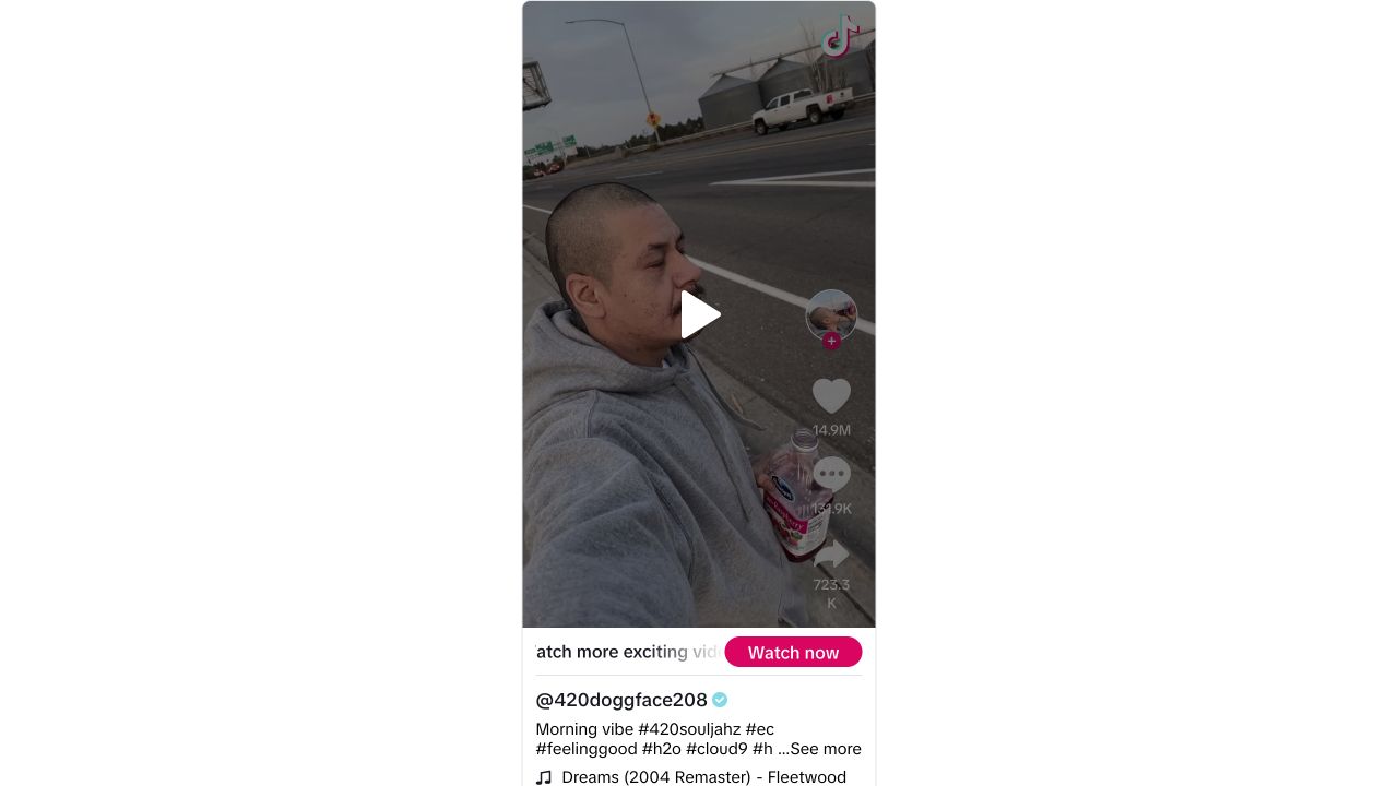 Public tiktok player preview of doggface208: A product becomes part of an ordinary moment